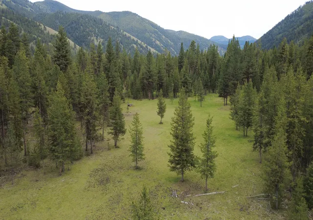 Photo 1 of Land for sale at Tract A W Meadow Rd, Darby, MT 59829 | MLS# 30072591 | Listing updated on 2026-09-04