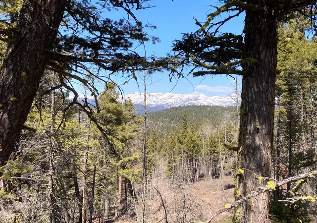 Photo 1 of Land for sale at 3595 Bear Gulch Rd, Lincoln, MT 59639 | MLS# 30072907 | Listing updated on 2026-09-14