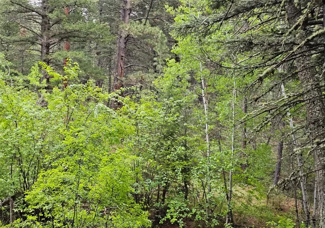 Photo 3 of Land for sale at Nhn Upper Sawmill Crk Ln, Cascade, MT 59421 | MLS# 30073008 | Listing updated on 2026-09-23