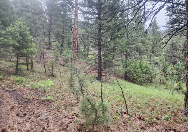 Photo 3 of Land for sale at Nhn Upper Sawmill Crk Ln, Cascade, MT 59421 | MLS# 30073008 | Listing updated on 2026-09-23