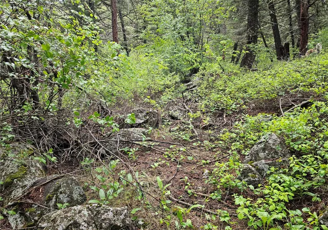 Photo 4 of Land for sale at Nhn Upper Sawmill Crk Ln, Cascade, MT 59421 | MLS# 30073008 | Listing updated on 2026-09-23