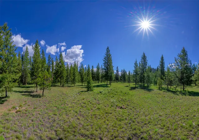 Photo 3 of Land for sale at Nhn Happy Acres Ln, Sula, MT 59871 | MLS# 30073441 | Listing updated on 2026-08-31