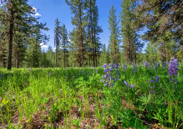 Photo 3 of Land for sale at Nhn Happy Acres Ln, Sula, MT 59871 | MLS# 30073441 | Listing updated on 2026-08-31