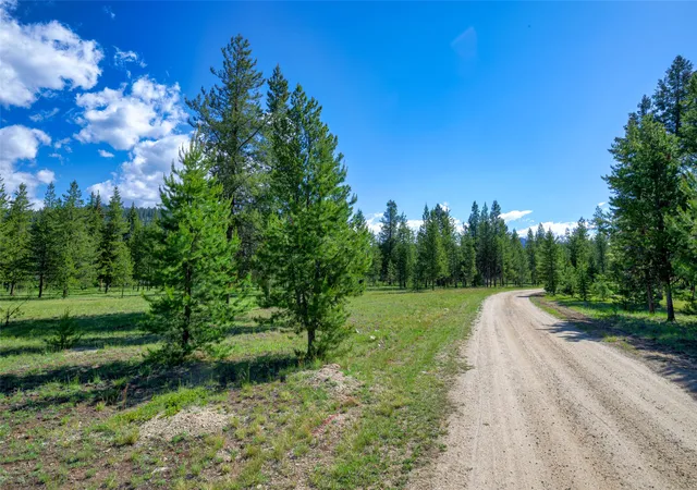 Photo 4 of Land for sale at Nhn Happy Acres Ln, Sula, MT 59871 | MLS# 30073441 | Listing updated on 2026-08-31