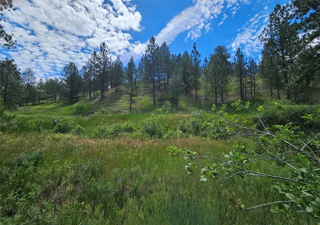 Land for sale at 569 Crk Holw Way, Florence, MT 59833 | MLS# 30073479