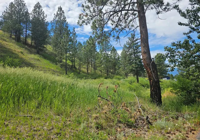 Photo 1 of Land for sale at 569 Crk Holw Way, Florence, MT 59833 | MLS# 30073479 | Listing updated on 2026-09-14