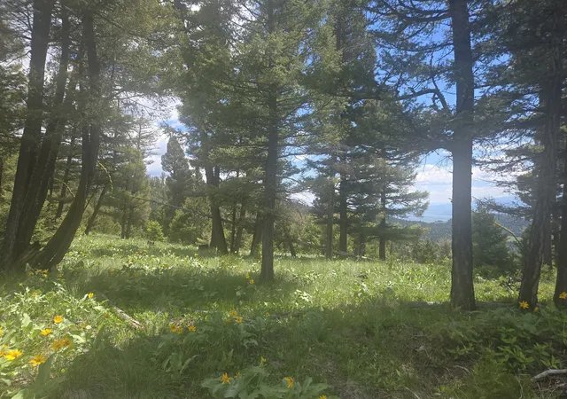 Land for sale at 2 Big Sky Ridge Rd, Drummond, MT 59832 | MLS# 30073545