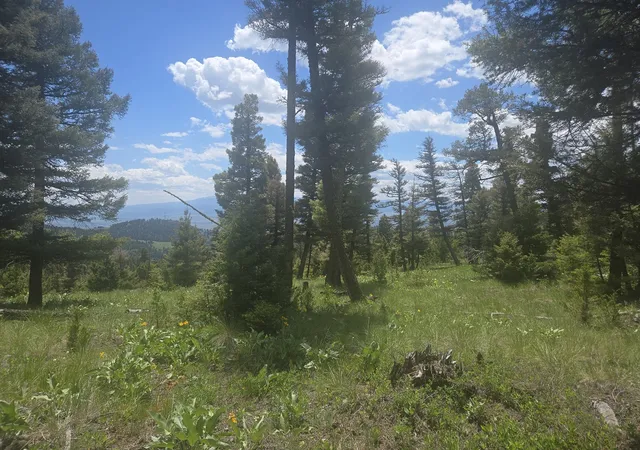 Photo 2 of Land for sale at 2 Big Sky Ridge Rd, Drummond, MT 59832 | MLS# 30073545 | Listing updated on 2026-09-14