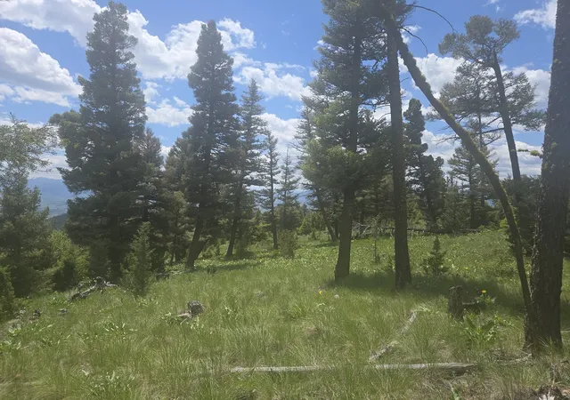 Photo 3 of Land for sale at 2 Big Sky Ridge Rd, Drummond, MT 59832 | MLS# 30073545 | Listing updated on 2026-09-14