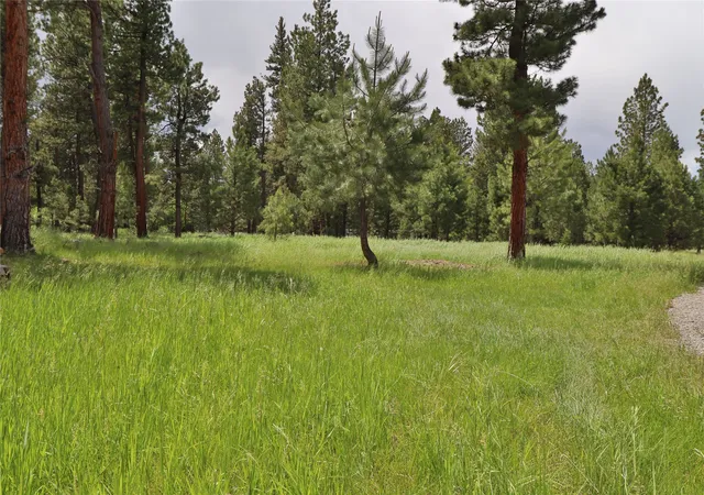 Photo 2 of Land for sale at 4587 Patterson Loop, Lincoln, MT 59639 | MLS# 30073483 | Listing updated on 2026-09-14