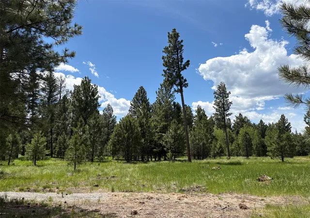 Photo 3 of Land for sale at 4587 Patterson Loop, Lincoln, MT 59639 | MLS# 30073483 | Listing updated on 2026-09-14