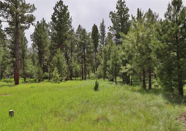 Photo 3 of Land for sale at 4587 Patterson Loop, Lincoln, MT 59639 | MLS# 30073483 | Listing updated on 2026-09-14