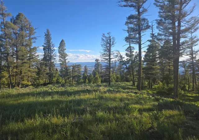 Land for sale at 1 Big Sky Ridge Rd, Drummond, MT 59832 | MLS# 30073666