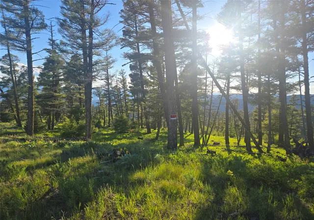 Photo 2 of Land for sale at 1 Big Sky Ridge Rd, Drummond, MT 59832 | MLS# 30073666 | Listing updated on 2026-09-14