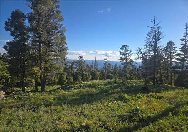 Photo 3 of Land for sale at 1 Big Sky Ridge Rd, Drummond, MT 59832 | MLS# 30073666 | Listing updated on 2026-09-14
