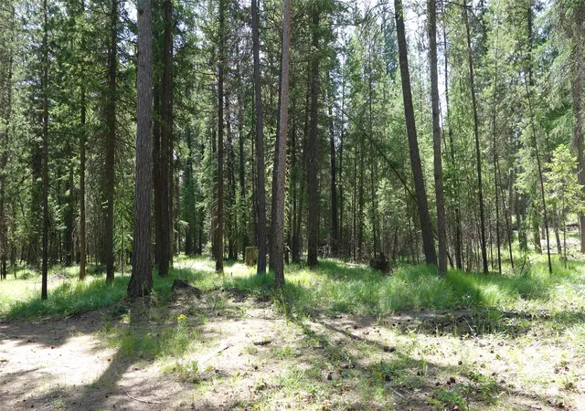 Photo 3 of Land for sale at 00 Skyline Way, Libby, MT 59923 | MLS# 30073673 | Listing updated on 2026-09-14