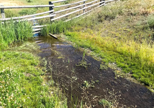 Land for sale at Tbd Upper Deep Crk, Townsend, MT 59644 | MLS# 30074008
