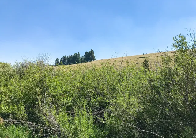 Photo 1 of Land for sale at Tbd Upper Deep Crk, Townsend, MT 59644 | MLS# 30074008 | Listing updated on 2026-09-14