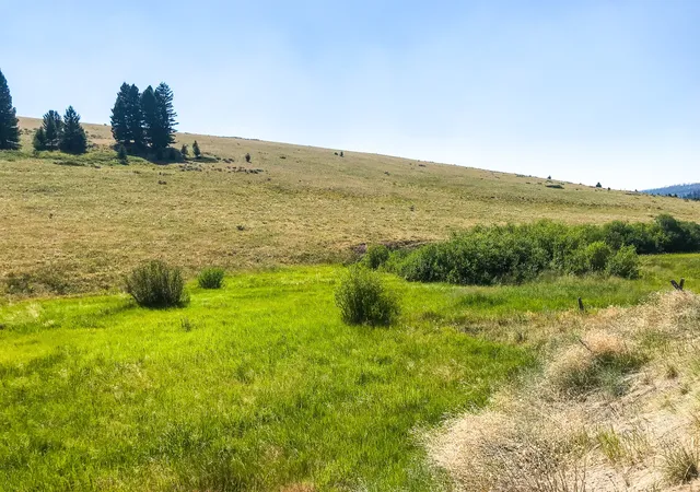 Photo 3 of Land for sale at Tbd Upper Deep Crk, Townsend, MT 59644 | MLS# 30074008 | Listing updated on 2026-09-14