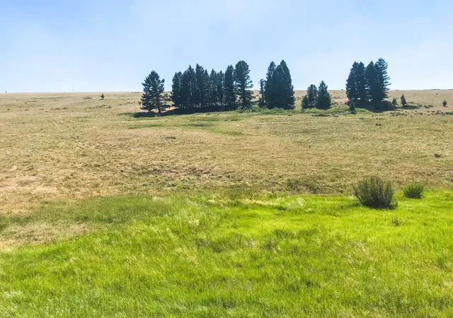 Photo 4 of Land for sale at Tbd Upper Deep Crk, Townsend, MT 59644 | MLS# 30074008 | Listing updated on 2026-09-14