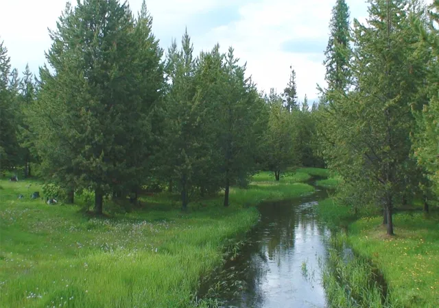 Photo 1 of Land for sale at 360 Discovery Loop, Marion, MT 59925 | MLS# 30066432 | Listing updated on 2026-09-14
