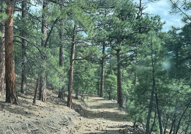 Photo 4 of Land for sale at 00 Hideaway Ln, Cascade, MT 59421 | MLS# 30074050 | Listing updated on 2026-09-14