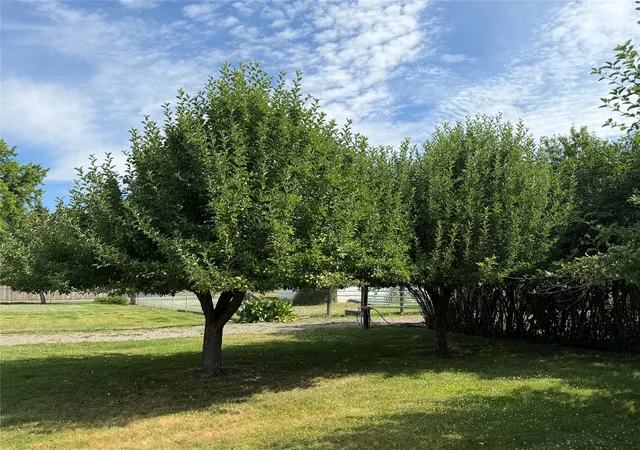 Photo 4 of Land for sale at Nhn Clayton St, Plains, MT 59859 | MLS# 30074870 | Listing updated on 2026-10-05