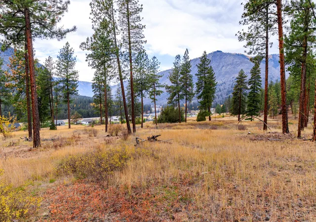 Photo 2 of Land for sale at 50 Bernie Rd, Alberton, MT 59820 | MLS# 30075233 | Listing updated on 2026-09-15