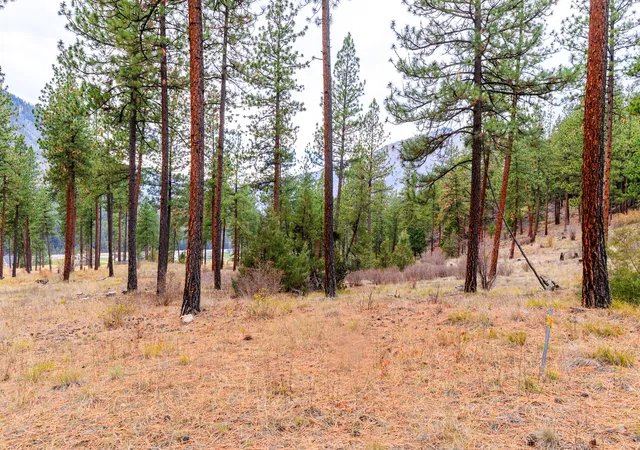 Photo 3 of Land for sale at 50 Bernie Rd, Alberton, MT 59820 | MLS# 30075233 | Listing updated on 2026-09-15