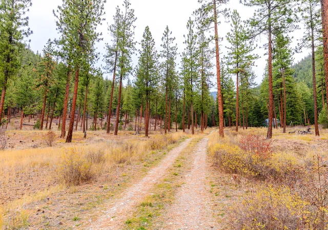Photo 4 of Land for sale at 50 Bernie Rd, Alberton, MT 59820 | MLS# 30075233 | Listing updated on 2026-09-15