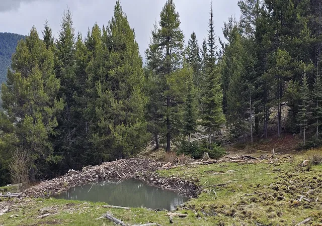 Land for sale at 10 Tract Garnet Range, Drummond, MT 59832 | MLS# 30075002