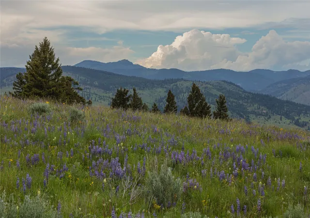 Land for sale at 3 Tract Bull Elk, Drummond, MT 59832 | MLS# 30075029