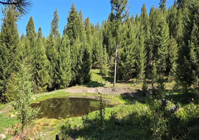 Land for sale at 4 Tract Bull Elk, Drummond, MT 59832 | MLS# 30075030