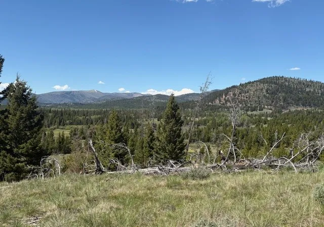 Photo 3 of Land for sale at Nhn Mt Hwy 279, Lincoln, MT 59639 | MLS# 30075262 | Listing updated on 2026-09-14