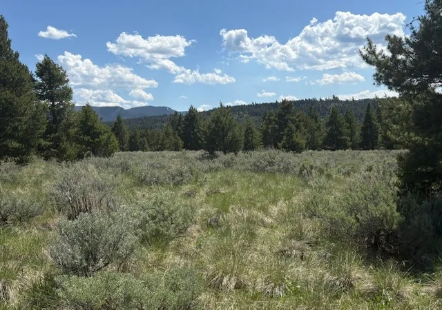 Photo 3 of Land for sale at Nhn Mt Hwy 279, Lincoln, MT 59639 | MLS# 30075262 | Listing updated on 2026-09-14