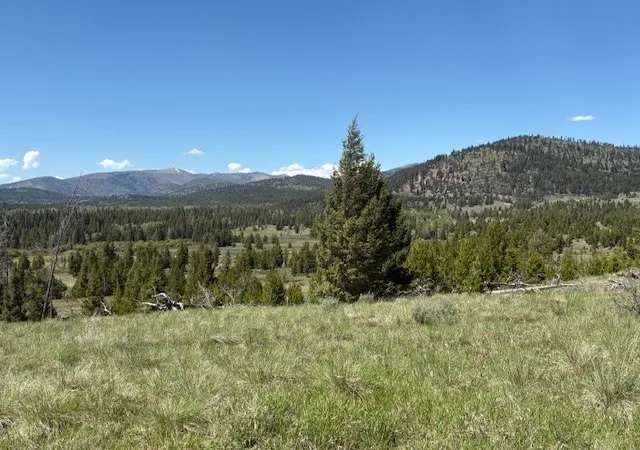 Photo 4 of Land for sale at Nhn Mt Hwy 279, Lincoln, MT 59639 | MLS# 30075262 | Listing updated on 2026-09-14