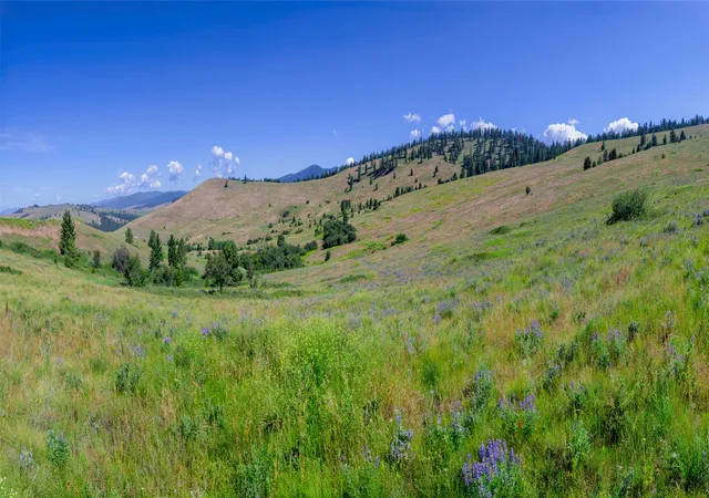 Land for sale at 4815 Gleneagle Way, Missoula, MT 59808 | MLS# 30075461