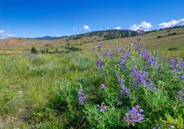 Photo 3 of Land for sale at 4815 Gleneagle Way, Missoula, MT 59808 | MLS# 30075461 | Listing updated on 2026-09-04