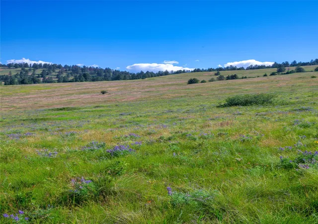 Photo 4 of Land for sale at 4815 Gleneagle Way, Missoula, MT 59808 | MLS# 30075461 | Listing updated on 2026-09-04