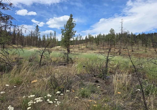 Photo 1 of Land for sale at Nhn Mt Hwy 28, Plains, MT 59859 | MLS# 30075553 | Listing updated on 2026-09-01