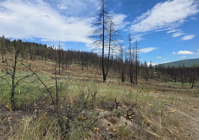 Photo 2 of Land for sale at Nhn Mt Hwy 28, Plains, MT 59859 | MLS# 30075553 | Listing updated on 2026-09-01