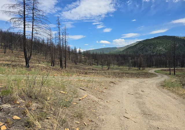 Photo 3 of Land for sale at Nhn Mt Hwy 28, Plains, MT 59859 | MLS# 30075553 | Listing updated on 2026-09-01