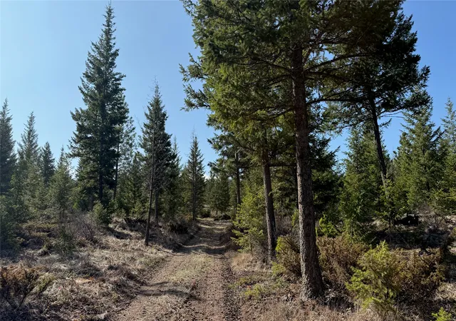 Photo 3 of Land for sale at Tbd Kootenai Echo Trl, Rexford, MT 59930 | MLS# 30075726 | Listing updated on 2026-09-14