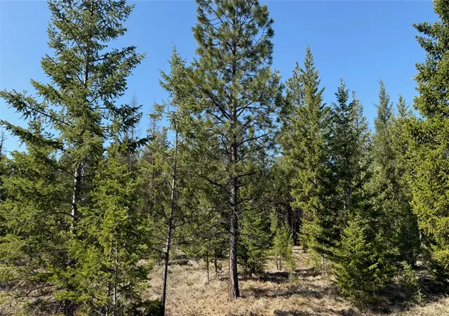 Photo 4 of Land for sale at Tbd Kootenai Echo Trl, Rexford, MT 59930 | MLS# 30075726 | Listing updated on 2026-09-14