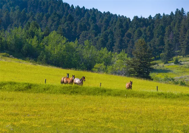 Photo 2 of Land for sale at Lot 6 Jackson Crk Rd, Bozeman, MT 59715 | MLS# 30075745 | Listing updated on 2026-09-14