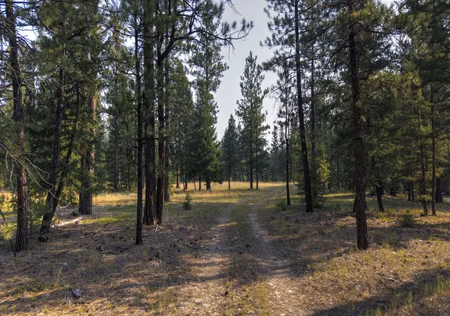 Photo 3 of Land for sale at 6030 West Frk Rd, Darby, MT 59829 | MLS# 30075678 | Listing updated on 2026-09-14