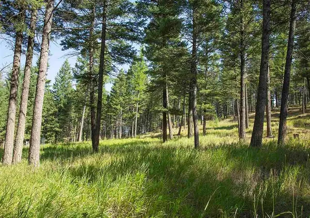 Photo 2 of Land for sale at 1243 Kienas Rd, Kalispell, MT 59901 | MLS# 30075969 | Listing updated on 2026-09-04
