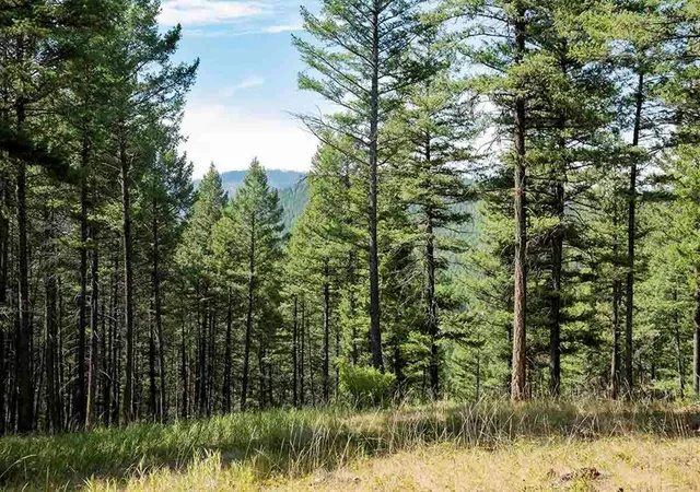 Photo 3 of Land for sale at 1243 Kienas Rd, Kalispell, MT 59901 | MLS# 30075969 | Listing updated on 2026-09-04