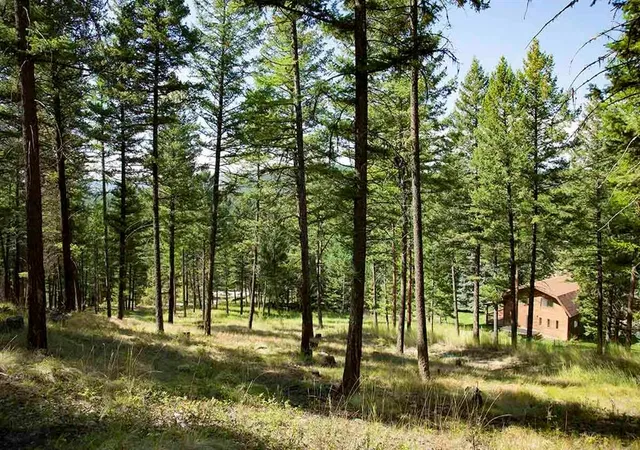 Photo 3 of Land for sale at 1243 Kienas Rd, Kalispell, MT 59901 | MLS# 30075969 | Listing updated on 2026-09-04
