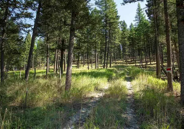 Photo 4 of Land for sale at 1243 Kienas Rd, Kalispell, MT 59901 | MLS# 30075969 | Listing updated on 2026-09-04